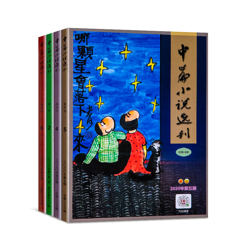 中(zhōng)篇小說(shuō)選刊